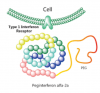 Photo for Global Interferon Alpha-2a Biosimilar Market 2018 Forecast to 2023