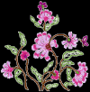 Photo for Embroidery Design Pattern