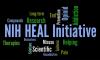Photo for international health service on