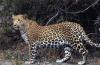 Photo for Best Wildlife Sanctuary In India