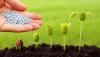 Photo for Biopesticides Market - Global Industry Size, Market Share, Trends, Analysis, and Forecast -2023
