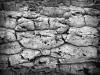 Photo for Global Dry Concrete Market: Opportunity Assessment Research Study 2023