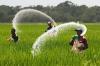Photo for Global Specialty Fertilizers Market: industry insights & opportunity evolution-2023