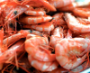 Photo for Global Prawn Market Overview 2018, Demand by Regions, Share, Price Trends, and Forecast to 2023