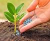 Photo for Key Trends and Industry Insights of Potash Fertilizers Market over Forecast Period 2023