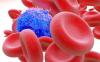 Photo for Circulating Tumor Cell (CTC) Diagnostics Market - Industry Global Growth, Production, Revenue, Demand & Applications 2018-2022
