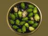 Photo for NUTRITIOUS PUNCH OF NONI