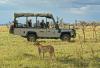 Photo for Masai Mara Safari Tours