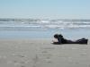 Photo for Shore Thing Writing Getaway