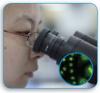 Photo for Global Anti-nuclear Antibody Test Market Report: Including Growth, Factors, Development, Trends, By Product Types & Application With Region 2025