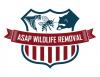 Photo for ASAP Wildlife Removal