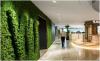 Photo for Green Walls