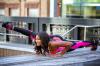 Photo for Certified Personal Trainer New York City