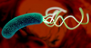Photo for Global Helicobacter Pylori Diagnostics Market 2018 Forecast to 2023