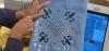 Photo for Online Embroidery Digitizing