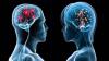 Photo for https://healthsupplementzone.com/saint-elias-cognitive/