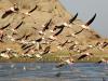 Photo for Bird Sanctuary in Rajasthan