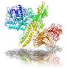 Photo for Botulinum Toxin Market - Global Industry Insights, and Forecast till 2025