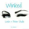 Photo for Winked by Carmen Lash & Brow Studio - (314) 744-9904