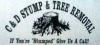 Photo for C&D STUMP & TREE REMOVAL