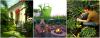 Photo for Advantage Landscaping Svc LLC