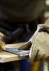 Photo for PROMASTER WOODWORKING