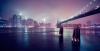 Photo for Website Design & Web Developer Chicago