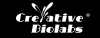 Photo for antibody synthesis