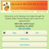 Photo for Orange Blossom Ranch