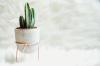 Photo for Quick & Inexpensive Home Décor Updates