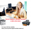 Photo for Ways to fix Xerox Printer Issues