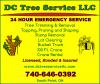 Photo for DC Tree Service LLC