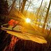Photo for Affordable Tree Service