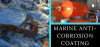 Photo for Global and Chinese Marine Anti-Corrosion Coating Industry, 2018 Market Size Will Escalate Rapidly in the Near Future 2023