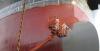 Photo for Global and Chinese Marine Anticorrosion Coatings Industry, 2018 Market trends research and projections for 2023