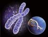 Photo for Global Monoclonal Mouse Antibody Industry statistical analysis, production value, Market shares and development in next 5 years