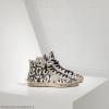 Photo for Golden Goose Starter