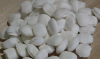 Photo for Global Sodium Cyanide Market 2018 Forecast to 2023