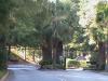 Photo for Lands End Homes For Sale - Lexington SC Real Estate