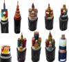 Photo for Cross Linked Polyethylene Market Outlook and Forecast 2025