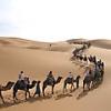 Photo for Morocco Desert Trips with 4X4 And Camel trekking