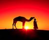 Photo for Morocco Desert Tours From Marrakesh To The Desert and One night Camel Trekkin