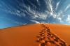 Photo for Morocco-Desert-Safari.com;Marrakesh Tours to Fes And Morocco Camel Trekking