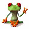 Photo for Peace Frog Specialty Cleaning