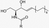 Photo for Global Ceramide Market 2018 Forecast to 2023