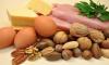 Photo for Lipid Nutrition Market - Trends and Forecast till 2015