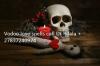 Photo for Voodoo love spell caster with 100% guaranteed results +27837240974