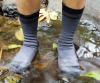 Photo for Waterproof Socks Market - Global Trends and Forecast to 2025