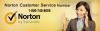 Photo for Norton Technical Support Number  1-800-745-8605