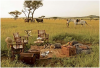 Photo for African Safari Tour Packages